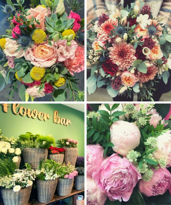 PIVOINE & CIE – Image 2